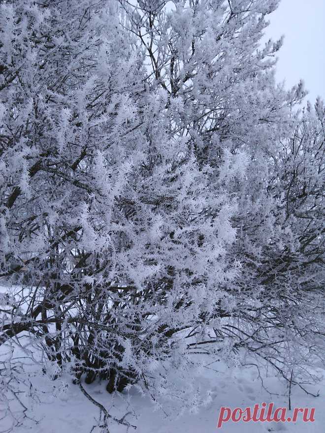 Зимнее волшебство в Белгороде.