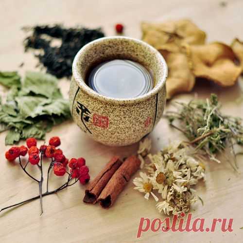 Как приготовить полезный травяной чай: 3 ароматных напитка