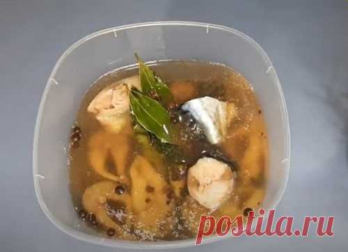 Скумбрия пряного посола в домашних условиях – 8 рецептов