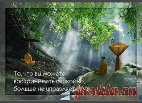 Человек живёт только тогда, когда мыслит самостоятельно, во всех остальных случаях им управляют - 20 Июля 2015 - Russia-Asia-Siberia