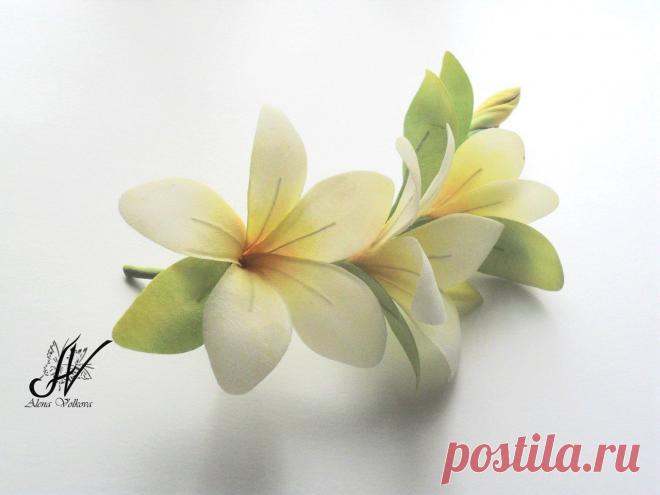 веточка шелковой плюмерии
