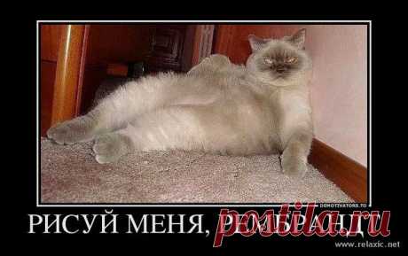 Интересные новости