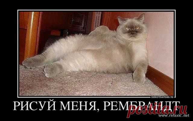 Интересные новости