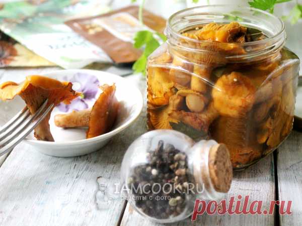 Хрустящие маринованные лисички на зиму