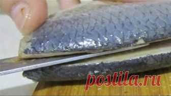 Как почистить селедку быстро и без костей. Разделываем селёдочку. как правильно. праздничная закуска
