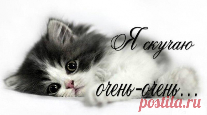 Картинки «скучаю» (36 фото) ⭐ Забавник