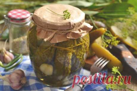 Огурцы маринованные с горчицей и чесноком. Пошаговый рецепт с фото — Ботаничка.ru