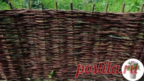 Делаем плетень сами, полезно знать
#плетень
Что может быть проще и «уютней» старинного доброго плетня. Я очень люблю этот вид ограждения. Он навевает мне сюжеты украинских сказок, такой милый сердцу крестьянский быт, где у плетня непременно стоят вилы, цветут подсолнухи и сушатся глиняные крынки для молока.
Заготовка материала для изготовления плетня
В любом лесу (не хвойном, конечно) растет молодая поросль орешника, осины, ивы и других деревьев и кустарников. Много матери...