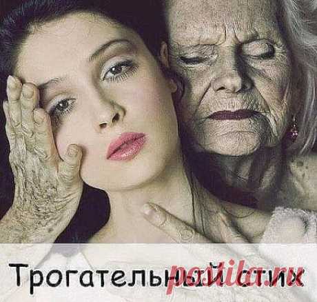 (1) Одноклассники
