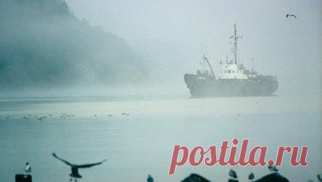 Еще одно судно врезалось в мост в США. Баржа врезалась в мост в американском штате Оклахома, остановив движение по шоссе. Об этом сообщает телеканал Fox news. &quot;По словам дорожного патруля, большая баржа врезалась в мост через реку Арканзас в Оклахоме, что привело к ...