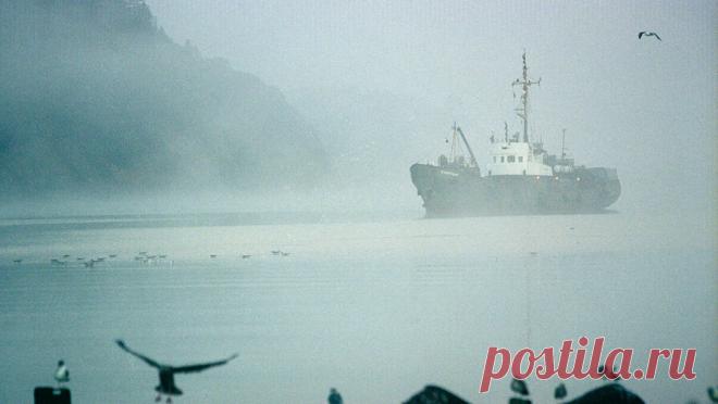 Еще одно судно врезалось в мост в США. Баржа врезалась в мост в американском штате Оклахома, остановив движение по шоссе. Об этом сообщает телеканал Fox news. "По словам дорожного патруля, большая баржа врезалась в мост через реку Арканзас в Оклахоме, что привело к ...