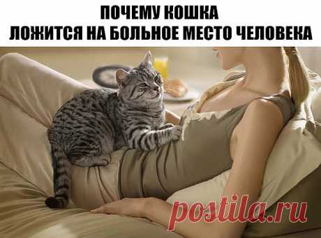 (17) Одноклассники
