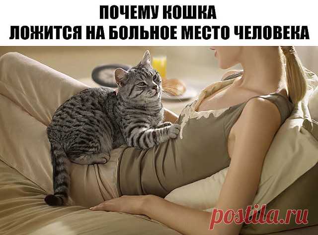 (17) Одноклассники