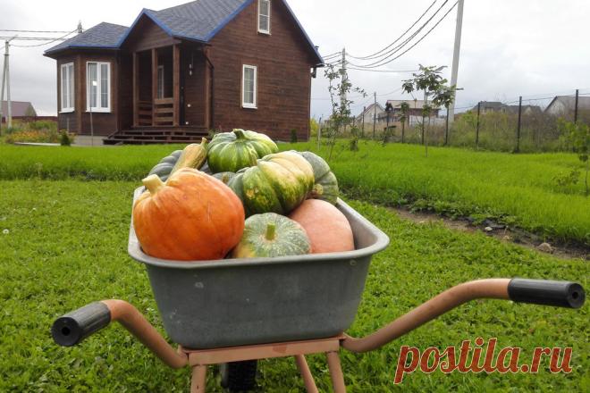 Росреестр указал: отсутствие межевания не лишает прав на сотки | Выживи сам