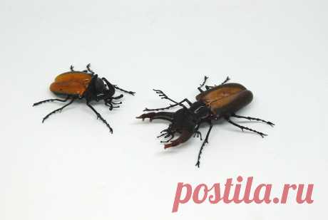 Невероятные стеклянные насекомые Витторио Константини. Хрупкая красота, рожденная в пламени | ЛЕПЕСТОК КЛЕВЕРА | Яндекс Дзен