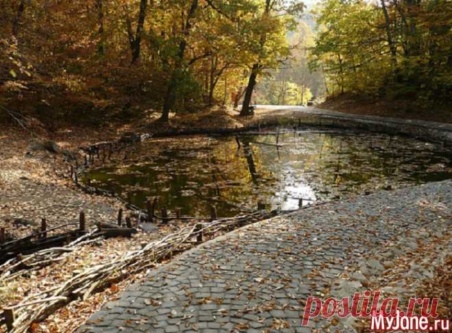 595267_51052.jpg (Изображение JPEG, 700 × 515 пикселов)