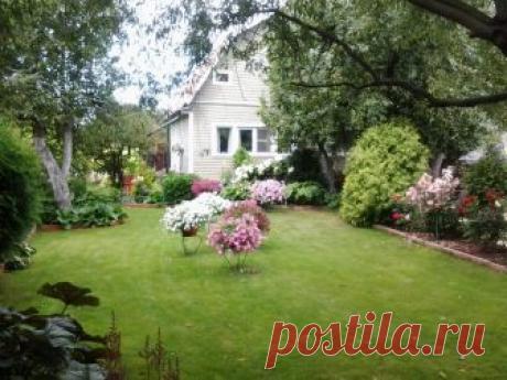 Каталог многолетних цветов для дачи: фото с названиями и описанием растений