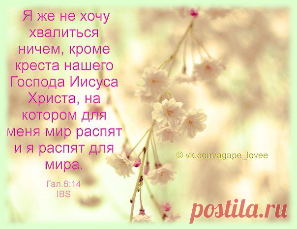 ♥...Агапэ...♥