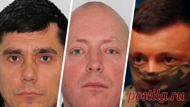 Троих офицеров ВСУ заочно осудили за атаку на Курск с применением более 120 БПЛА. Троих полковников Вооруженных сил Украины (ВСУ) заочно приговорили к пожизненному лишению свободы, признав их виновными в организации атаки с использованием более 120 беспилотных летательных аппаратов (БПЛА) на Курск. Об этом сообщил ...