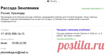 рассада клубники