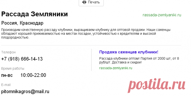 рассада клубники