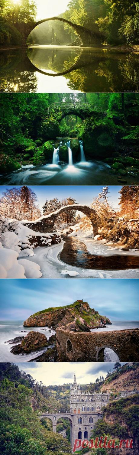15 удивительных мостов, в которых застыли природа и время.