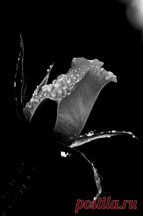 L'Aile~A~Du~Charme // B2F