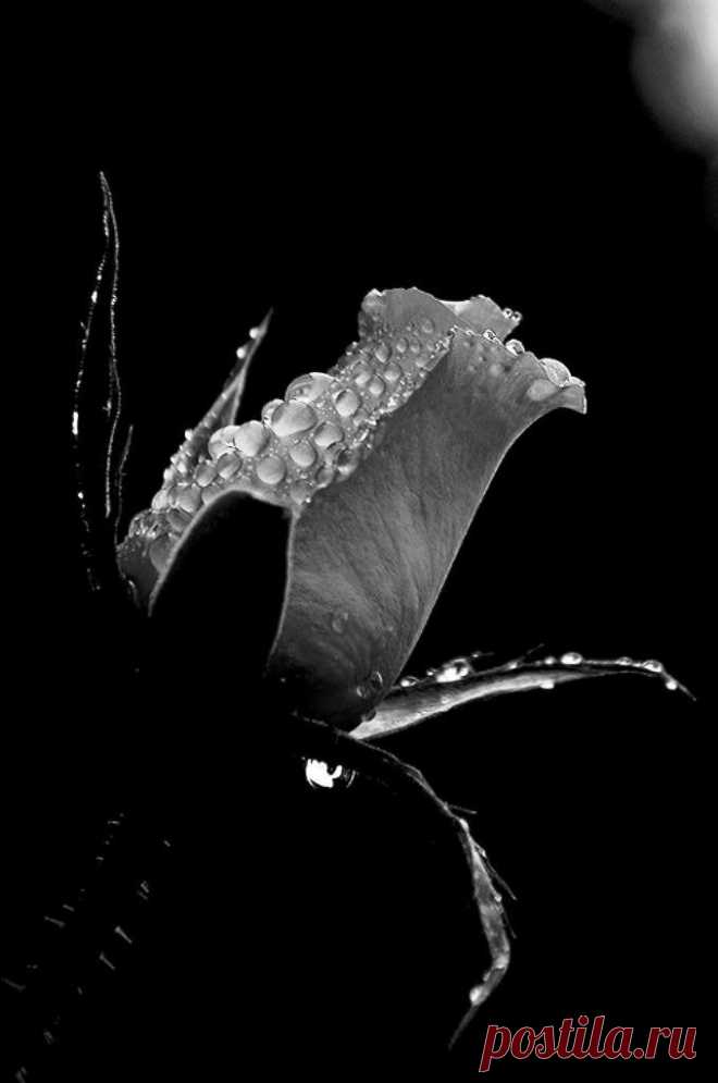 L'Aile~A~Du~Charme // B2F