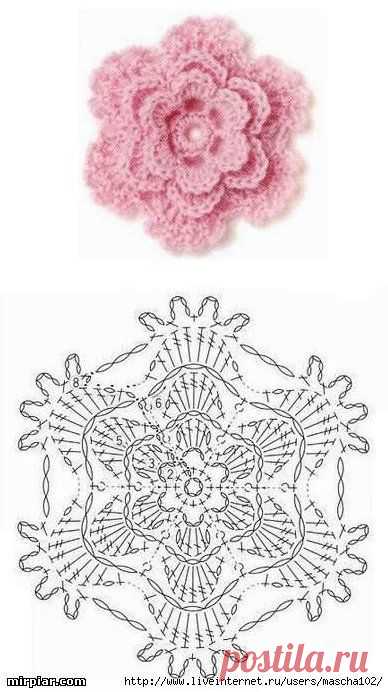 (3) Pinterest