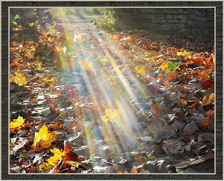 (100+) Галерея поздравлений - Группы Мой Мир