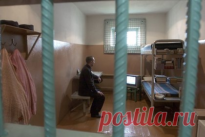 Насмотревшийся антироссийского контента мужчина попал в колонию на 14 лет