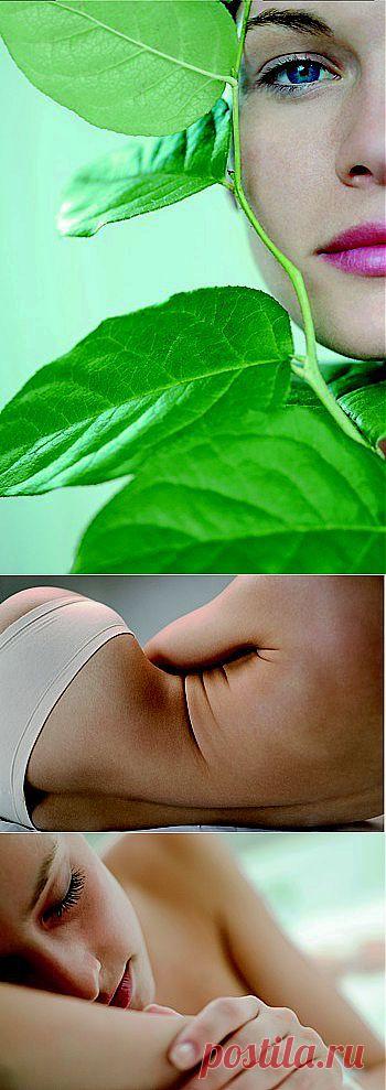 Детокс натуральными средствами | ПолонСил.ру - социальная сеть здоровья