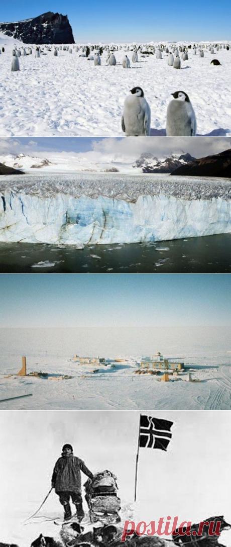(+1) тема - Интересные факты об Антарктиде | Непутевые заметки