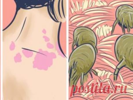 Рецепт с медом для лечения щитовидной железы — Копилочка полезных советов