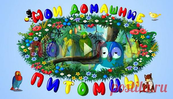 Тетушка Сова и ее помощники рассказывают детям истории о домашних любимцах – кошках, собаках, птичках, рыбках. Очень важно объяснить ребенку простейшие правила обращения с животным и правила безопасного общения с ними.