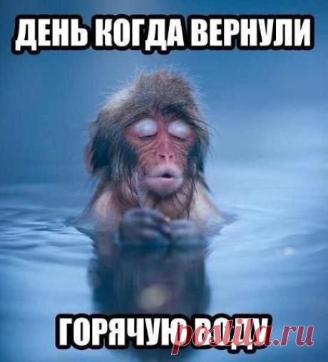 Интересные новости