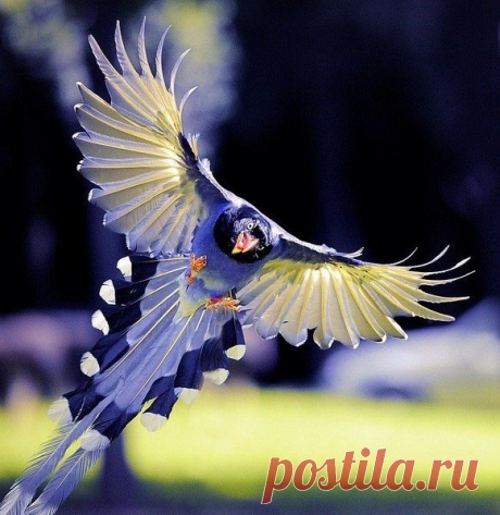 Самое интересное