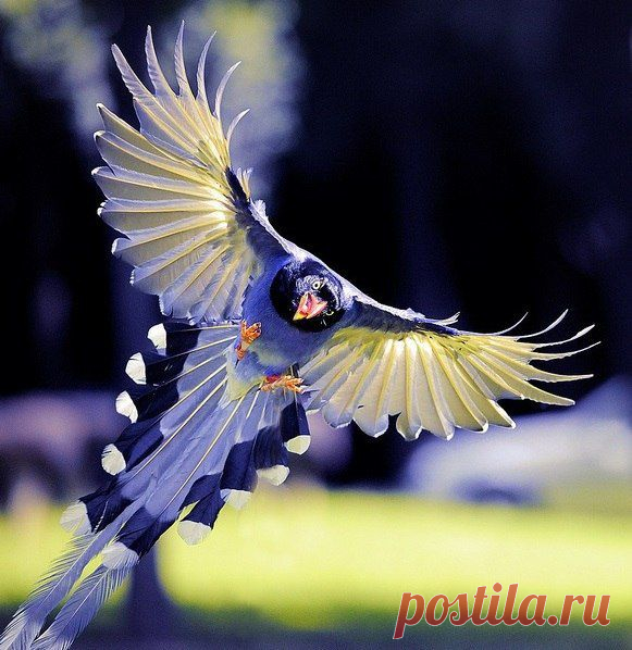 Самое интересное