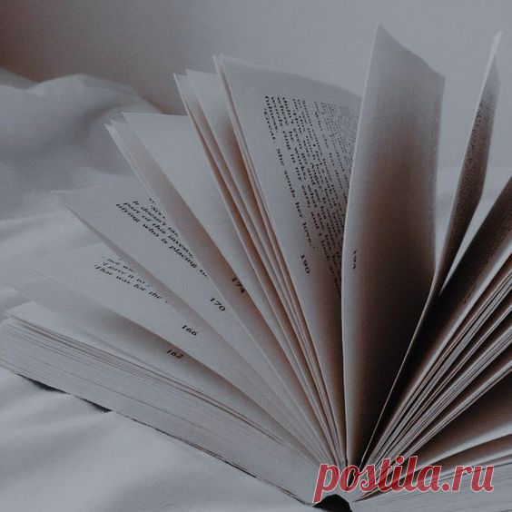 чтение, атмосфера книг, атмосфера чтения, книжные страницы, бумажная книга, спокойствие, равновесие