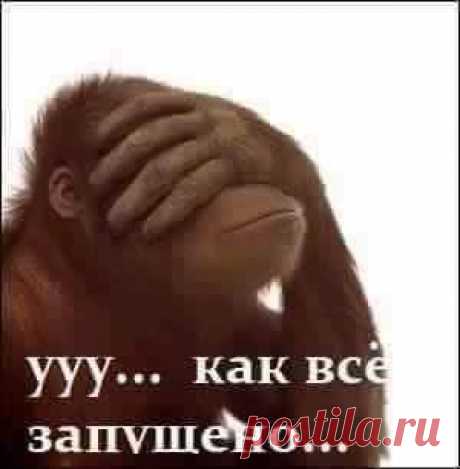 (113) Facebook