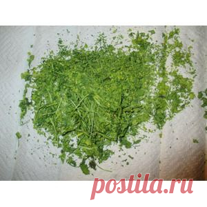Зелень из микроволновки на зиму