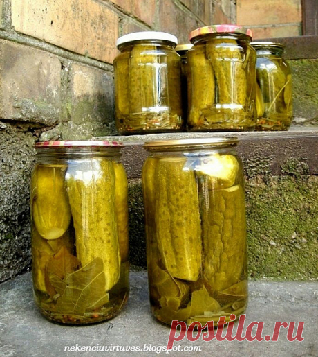 Parodė kaip gaminti pačius skaniausius Uspaskicho marinuotus agurkus. Skaitom! Uspaskicho marinuoti agurkai - ☑️ patiekalas, kurį nesunkiai pasigaminsite pagal šį receptą.🍽️ Išbandyk šį receptą jau dabar!