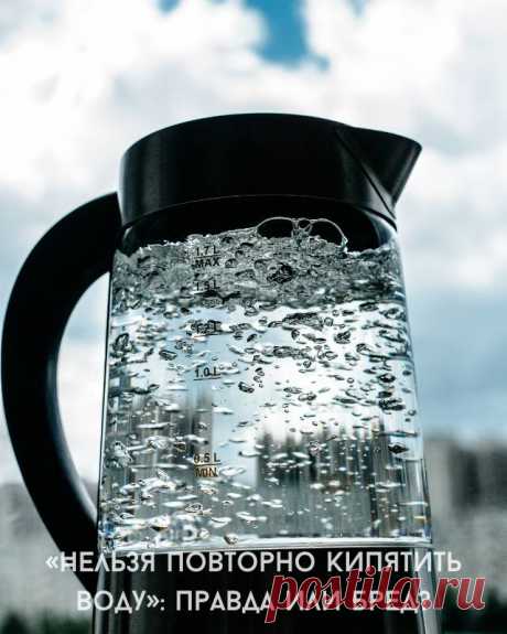 «Нельзя повторно кипятить воду»: правда или бред? — Моя кухня
