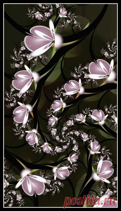 Spiralling Magnolias by kayandjay100 on DeviantArt