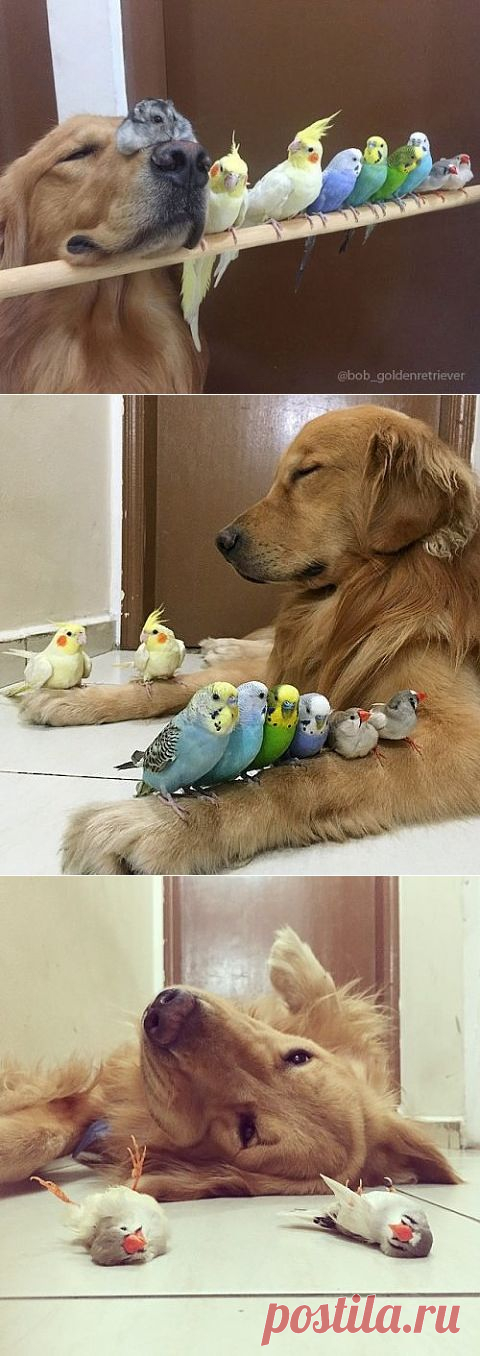 мм