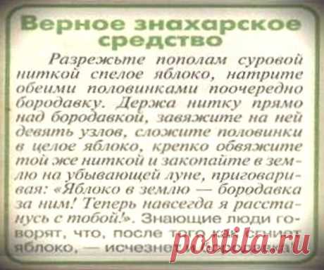 Знахарское средство от бородавок