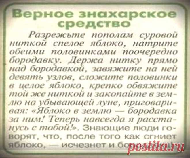 Знахарское средство от бородавок