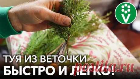 upload_244501645_file