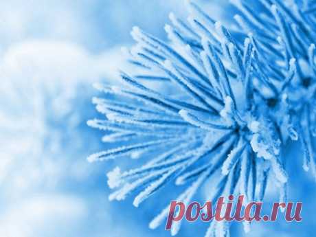 Зимние приметы на удачу и деньги Существует множество примет, помогающих обрести удачу, процветание и финансовое благополучие. Благодаря народной мудрости можно избавиться от неприятностей и изменить жизнь к лучшему уже зимой.