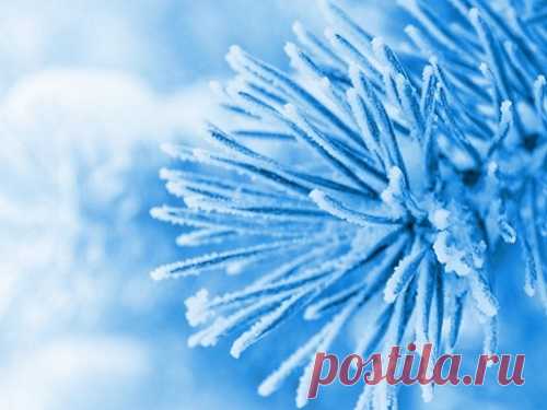 Зимние приметы на удачу и деньги Существует множество примет, помогающих обрести удачу, процветание и финансовое благополучие. Благодаря народной мудрости можно избавиться от неприятностей и изменить жизнь к лучшему уже зимой.